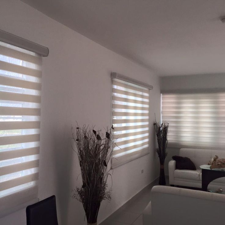 Роллета день/ночь КАНЗАС УЮТ 48*160 Белый